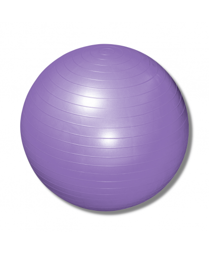 Vigfit Anti-burst Gym Ball with Foot Pump (Purple, Blue & Pink)