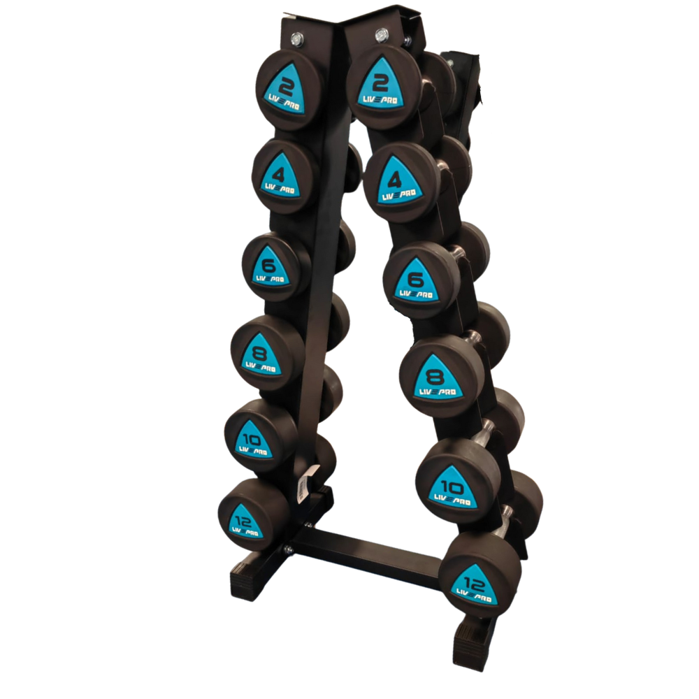 84kg Urethane Round Dumbbells Set with 6 Pair Vertical Rack (2kg to 12kg)